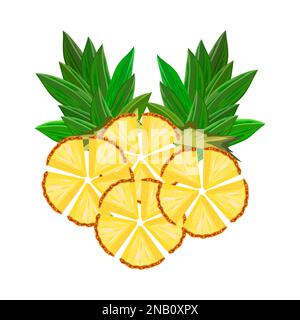 Pineapple. Fresh tropical fruit ananas slices with leaves. Ripe juicy pineapple pieces. Sweet anana ring.Label or packaging design.Vector illustration Stock Vector