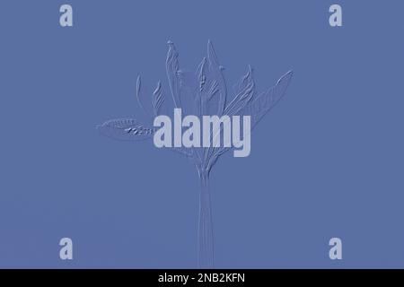 Digitally embossed image of an Iris reticulata Stock Photo