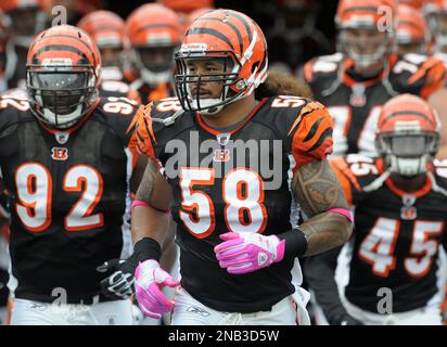 Cincinnati Bengals - Frostee Rucker