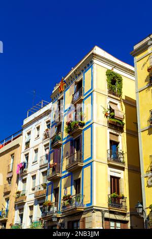 Historic residential apartment buildings surrounding Santa Caterina Market, Gothic Quarter, Barcelona, Catalonia, Spain Stock Photo