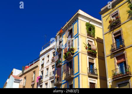 Historic residential apartment buildings surrounding Santa Caterina Market, Gothic Quarter, Barcelona, Catalonia, Spain Stock Photo