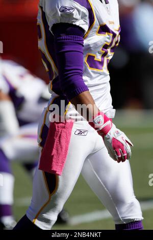 Minnesota Vikings free safety Husain Abdullah (39) is shown during