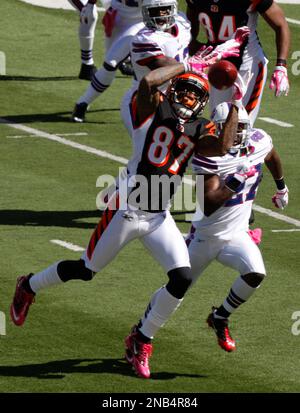 Cincinnati Bengals wide receiver Andre Caldwell (87) runs the ball during  an NFL football game, Sunday, Nov. 30, 2008, in Cincinnati. (AP Photo/David  Kohl Stock Photo - Alamy