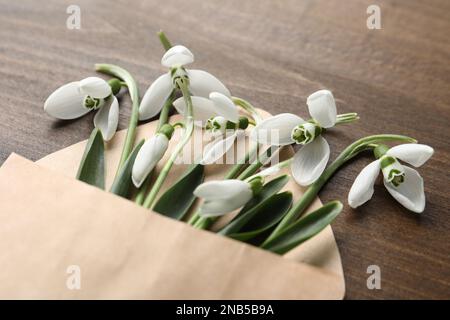 Beautiful snowdrops in envelope on wooden table, closeup Stock Photo