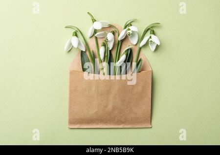 Beautiful snowdrops in envelope on light green background, top view Stock Photo