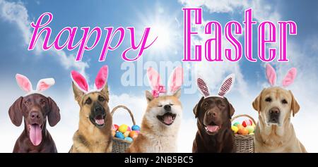 Happy Easter. Cute dogs with bunny ears headbands outdoors Stock Photo