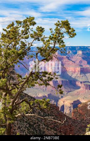 Grand Canyon National Park in Arizona, USA. Panoramic showing the Grand Canyon. Aerial view of the Grand Canyon, Arizona. Grand Canyon Arizona sunset landscape clouds. Stock Photo