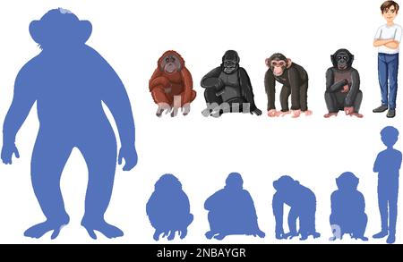 Five different types of great apes illustration Stock Vector