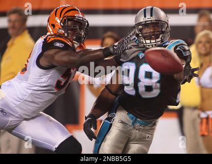 Cincinnati Bengals linebacker Rey Maualuga in action during practice at NFL  football training camp, Wednesday, Aug. 10, 2011 in Georgetown, Ky. (AP  Photo/Al Behrman Stock Photo - Alamy