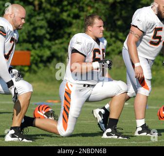 Cincinnati Bengals guard Clint Boling (65) in the first half during an NFL  football game the Arizona Cardinals, Sunday, Nov. 22, 2015, in Glendale,  Ariz. (AP Photo/Rick Scuteri Stock Photo - Alamy