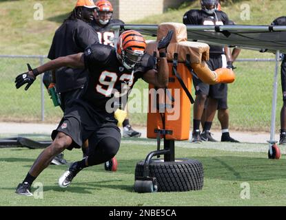 Cincinnati Bengals linebacker Michael Johnson in action against the  Cleveland Browns in the second half of an NFL football game, Sunday, Dec.  19, 2010, in Cincinnati. (AP Photo/David Kohl Stock Photo - Alamy