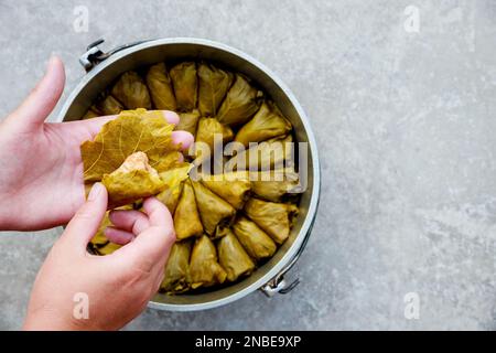 Stuffed grape leaves filled with mainly rice and herbs. Stock Photo