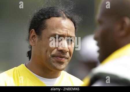 Pittsburgh Steelers strong safety Troy Polamalu (43) watches the replay on  his recovery of a Houston Texans fumble in the fourth quarter of the  Steelers 30-23 winat Heinz Field in Pittsburgh on October 20, 2014.  UPI/Archie Carpenter Stock Photo - Alamy