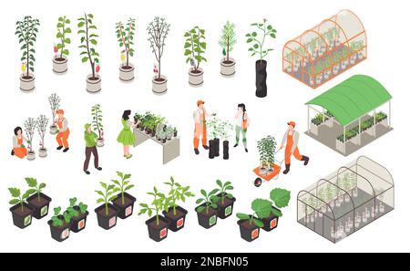 Isometric nursery garden icons set with plants in greenhouse isolated vector illustration Stock Vector