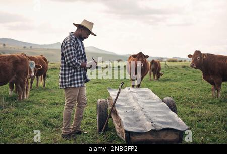 The bovine boss himself. a mature man writing notes while working on a cow farm. Stock Photo