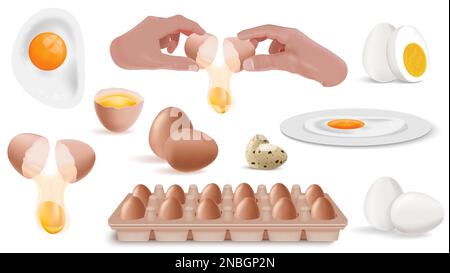 Eggs cook realistic icon set fried hard boiled raw eggs in hand and in shells packaged eggs vector illustration Stock Vector