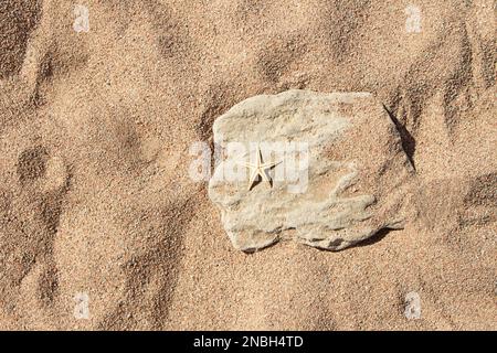 Podium stone with starfish lies on sandy beach. Top view, copy space. Minimal composition for product presentation. Tropical summer and vacation backg Stock Photo
