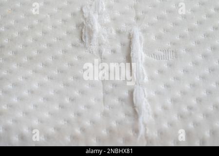 Close-up view of the torn white pillow. Stock Photo