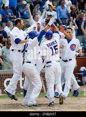 Chicago Cubs players celebrate at home plate around Darwin