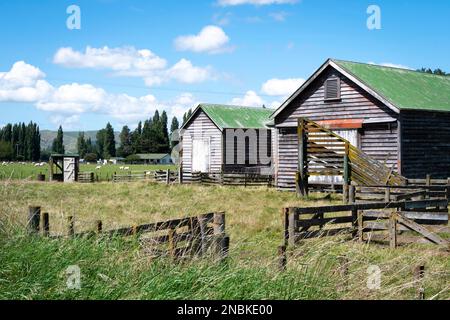 Woolshed, or shearing shed, Central Hawkes Bay, North Island, New Zealand Stock Photo