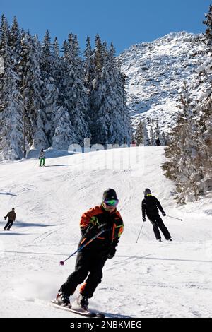 Skiers on ski slope skiing in Vitosha Mountain above Sofia, Bulgaria, Eastern Europe, Balkans, EU Stock Photo