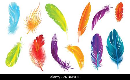 Realistic feathers color set with isolated images of bird feather of different color on blank background vector illustration Stock Vector