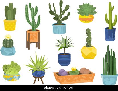 Cactuses in pots flat icon set cactuses in shaped and round large and small colored pots vector illustration Stock Vector