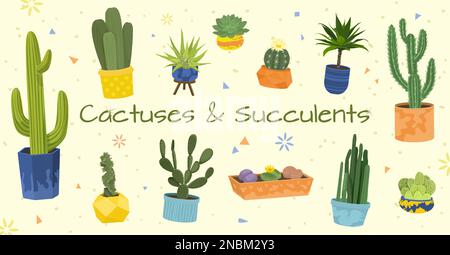 Cactuses flat composition set with different sizes and types of cactuses and succulents in pots vector illustration Stock Vector