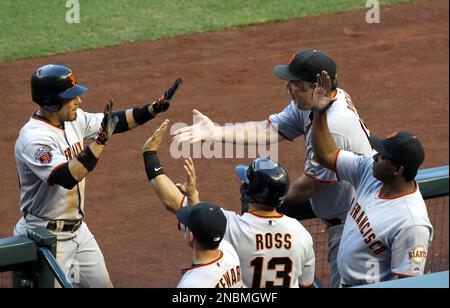 San Francisco Giants and fans celebrate after winning baseball's World  Series against the Texas Rangers 3-1 Monday, Nov. 1, 2010, in Arlington,  Texas. (AP Photo/Eric Gay Stock Photo - Alamy