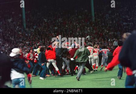 A very enthusiastic Boston Red Sox Fan -- Please credit photographer Kirk  Schlea Stock Photo - Alamy