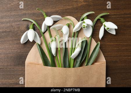 Beautiful snowdrops in envelope on wooden table, top view Stock Photo