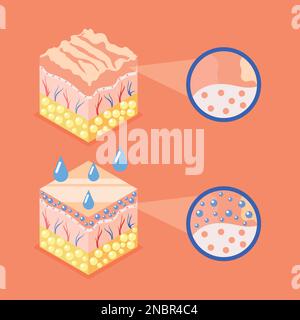Hyaluronic acid isometric background with composition of profile view cubes representing skin structure layers round icons vector illustration Stock Vector