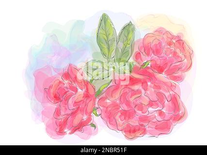 pink roses vector illustration watercolour on white background Stock Vector
