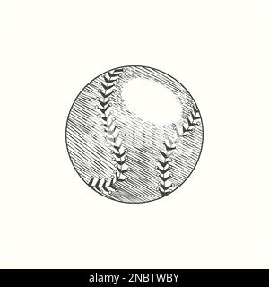 Baseball softball vector illustration in black. Detailed vintage style drawing Stock Vector