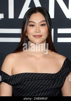 Culver City, Ca. 13th Feb, 2023. Dianne Doan at Prime Video's The Consultant Premiere at Culver Theater in Culver City, California on February 13, 2023. Credit: Faye Sadou/Media Punch/Alamy Live News Stock Photo