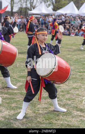 Buenos Aires, Argentina - February 14th, 2023: Japanese dancer with drum. Eisa (Japanese dance with drums) in Varela Matsuri. Stock Photo