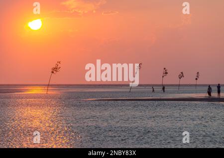 Sunset. Rock Harbor. Clam Trees. Fishing Boat Columbia. Orleans ...