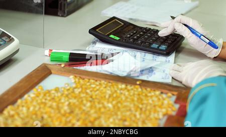 Laboratory research of corn seeds. samples of different species ...