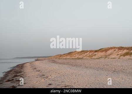 Empty beach and sand dunes at sunset in the golden hour. Liseleje, Denmark. Stock Photo