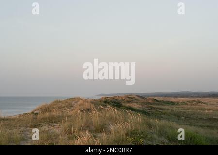 Nordic coastline scenery in golden hour light at the sunset. Sand dunes, beach grass, water and blue sky. Stock Photo