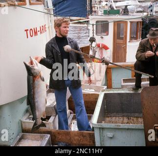 1960s, historical, standing outside on a fishing boat, the Tom-Arne, in the harbour in Tromso, Norway, a man weighing a fresh fish, a wild salmon. The ancient town of Tromso is the largest fishing port in Norway and a popular tourist location, with its ancient Norse heritage. Stock Photo