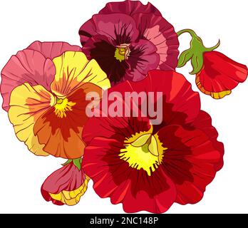 Bright red and orange flowers of pansy Stock Vector