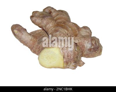 Ginger rhizome isolated on white background Stock Photo