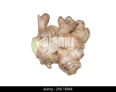 Ginger rhizome isolated on white background Stock Photo