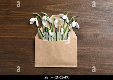 Beautiful snowdrops in envelope on wooden table, top view Stock Photo