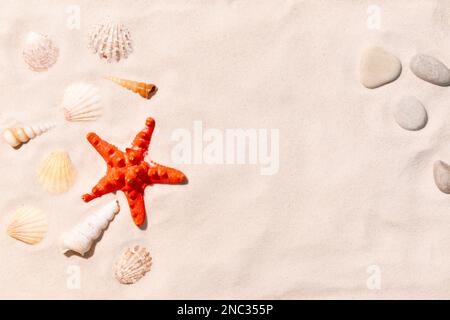 Sandy beach with seashells, pebbles red starfish. Travel and vacations concept background. Top view, flat lay Stock Photo