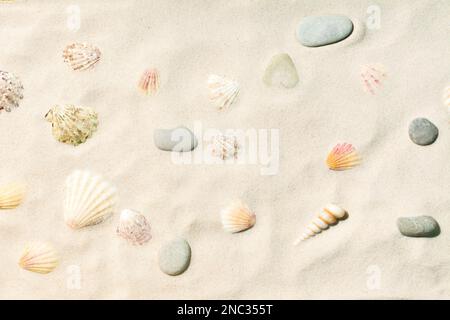Sandy beach with sea shells and pebbles. Background Stock Photo