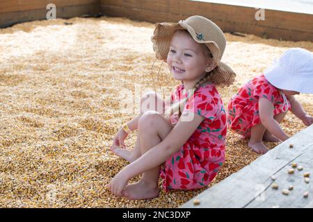 Little girl playing in a corn kernel pit on the farm Stock Photo