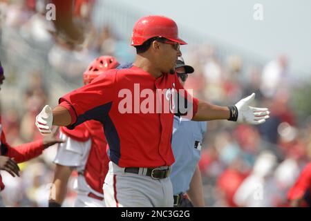 Washington Nationals' Ian Desmond looks towards the St. Louis Cardinals  bench as he's led to first base by umpire Fran Burke during the seventh  inning of a spring training baseball game, Monday