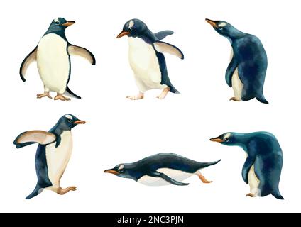 Illustration of south pole animals and forwarders. High quality illustration Stock Photo